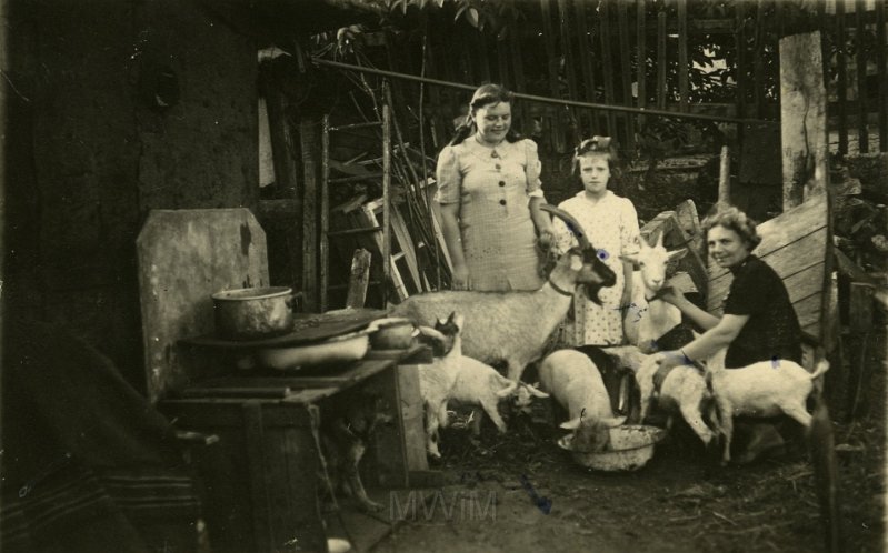 KKE 5015.jpg - Fot. Grupowe. W zagrodzie z kozami, Toruń, VI 1946 r.